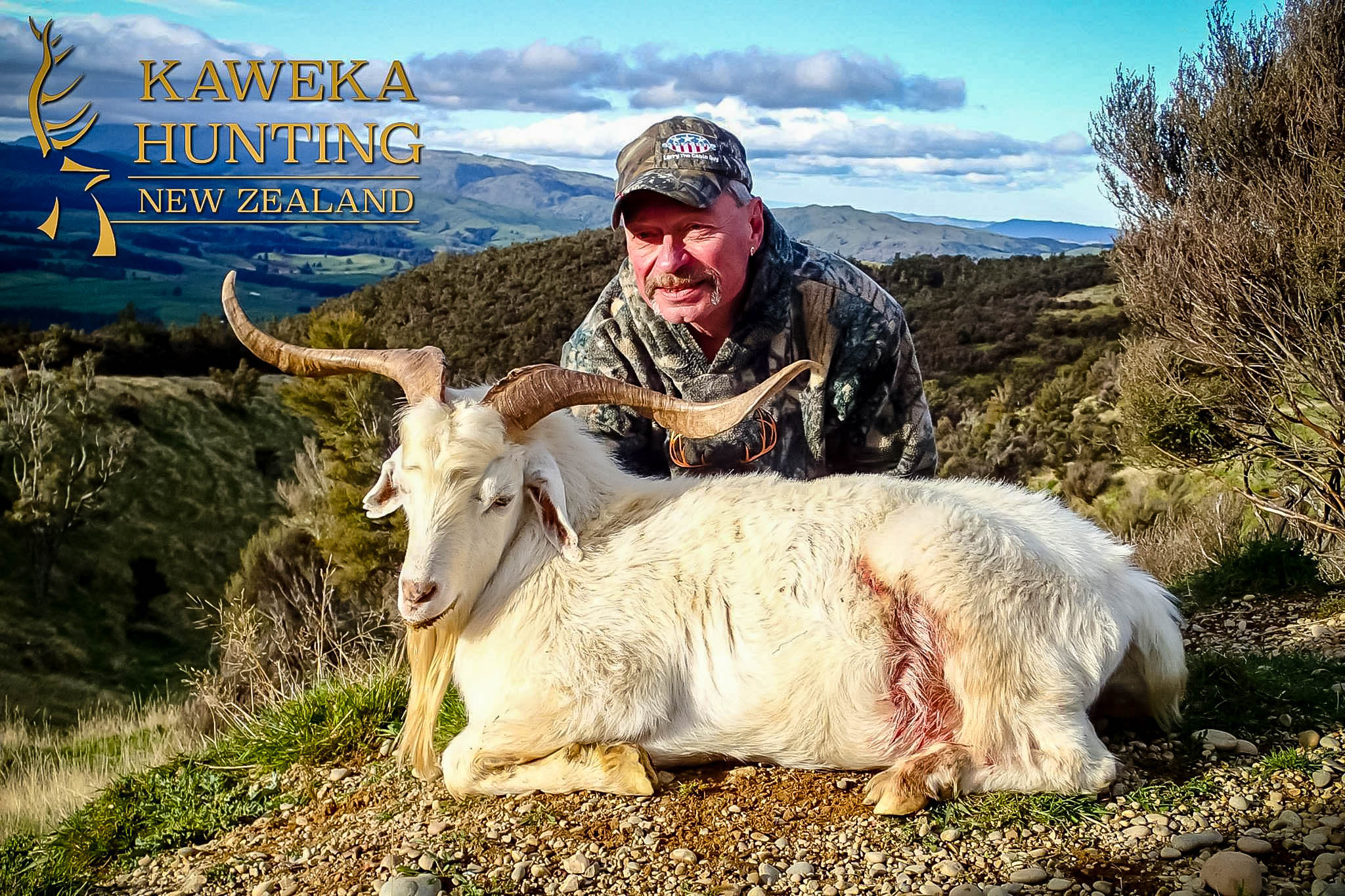 new zealand goat hunts free range kaweka hunting