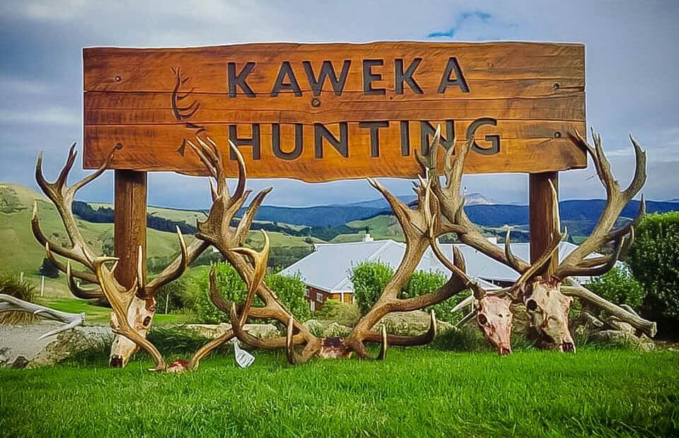 Kaweka hunting lodge outfitters