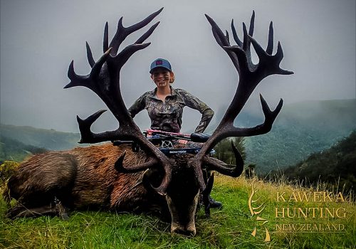 Giant Red Stag Hunting in New Zealand