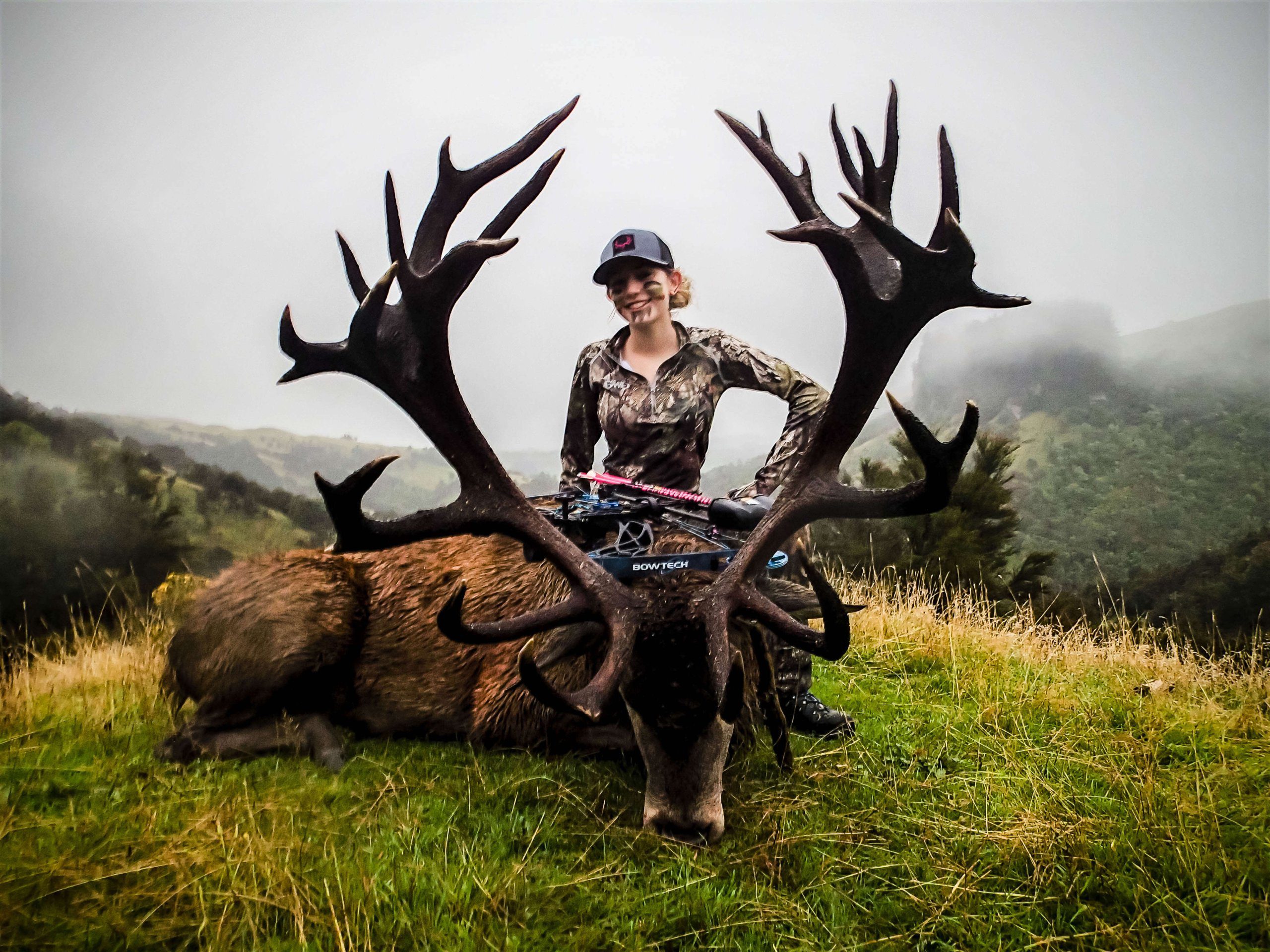 Affordable Red Stag Trophy